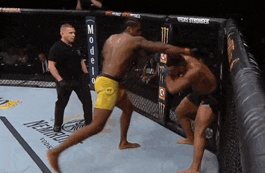 VigilantPartialDrongo-size_restricted