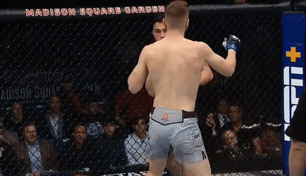 shabazyan ko tavares