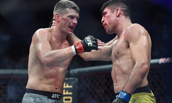 MMA: UFC 244-Thompson vs Luque